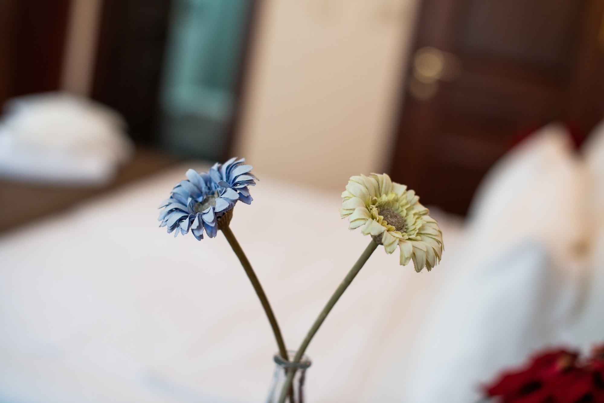 Sultanahmet Cesme Hotel Stambuł Zewnętrze zdjęcie